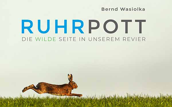 Cover-Wilder-Ruhrpott